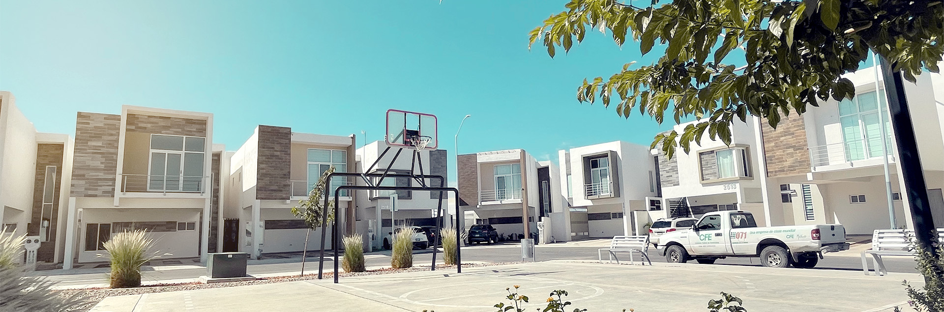 fotografia de bosques boreales etapa 2