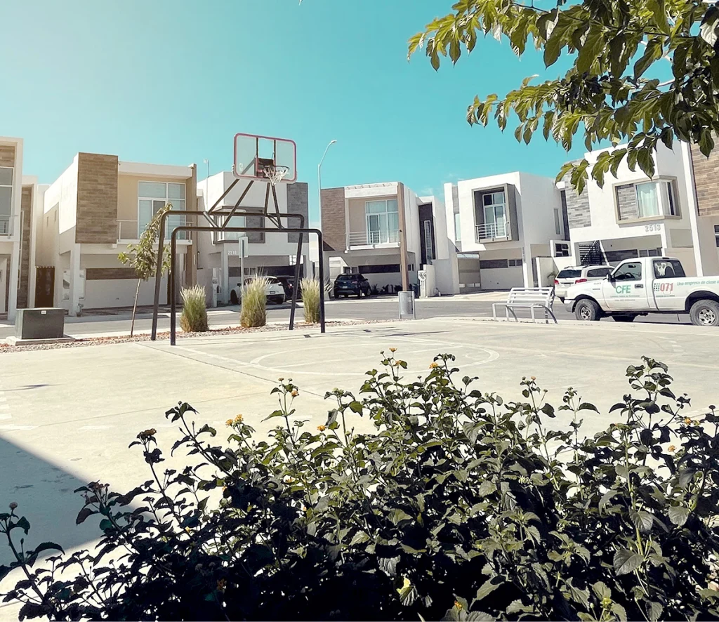 fotografia de bosques boreales etapa 2